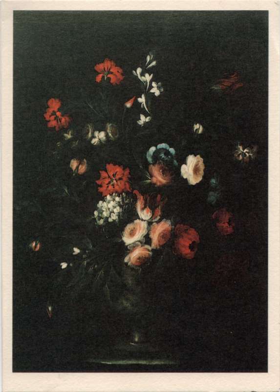 Natura morta in mostra